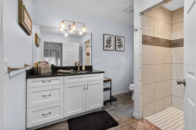 a bathroom with a sink a toilet and mirror