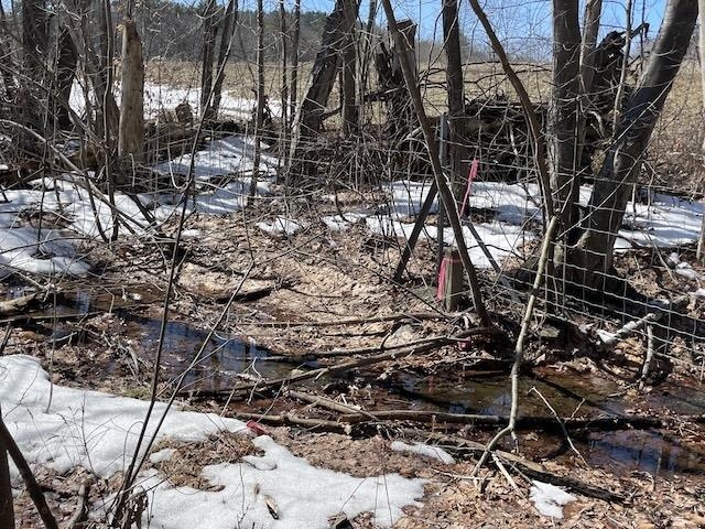 123 Highway 5, Unit 2 Westminster, VT 05346 - Photo 11 of 13