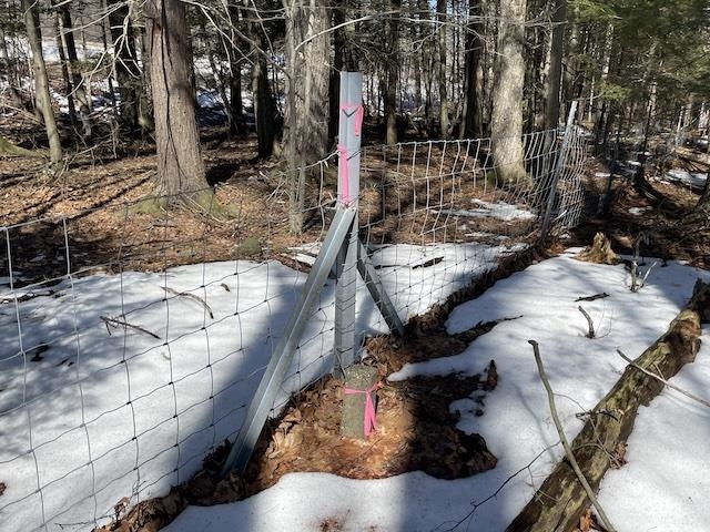 123 Highway 5, Unit 2 Westminster, VT 05346 - Photo 12 of 13