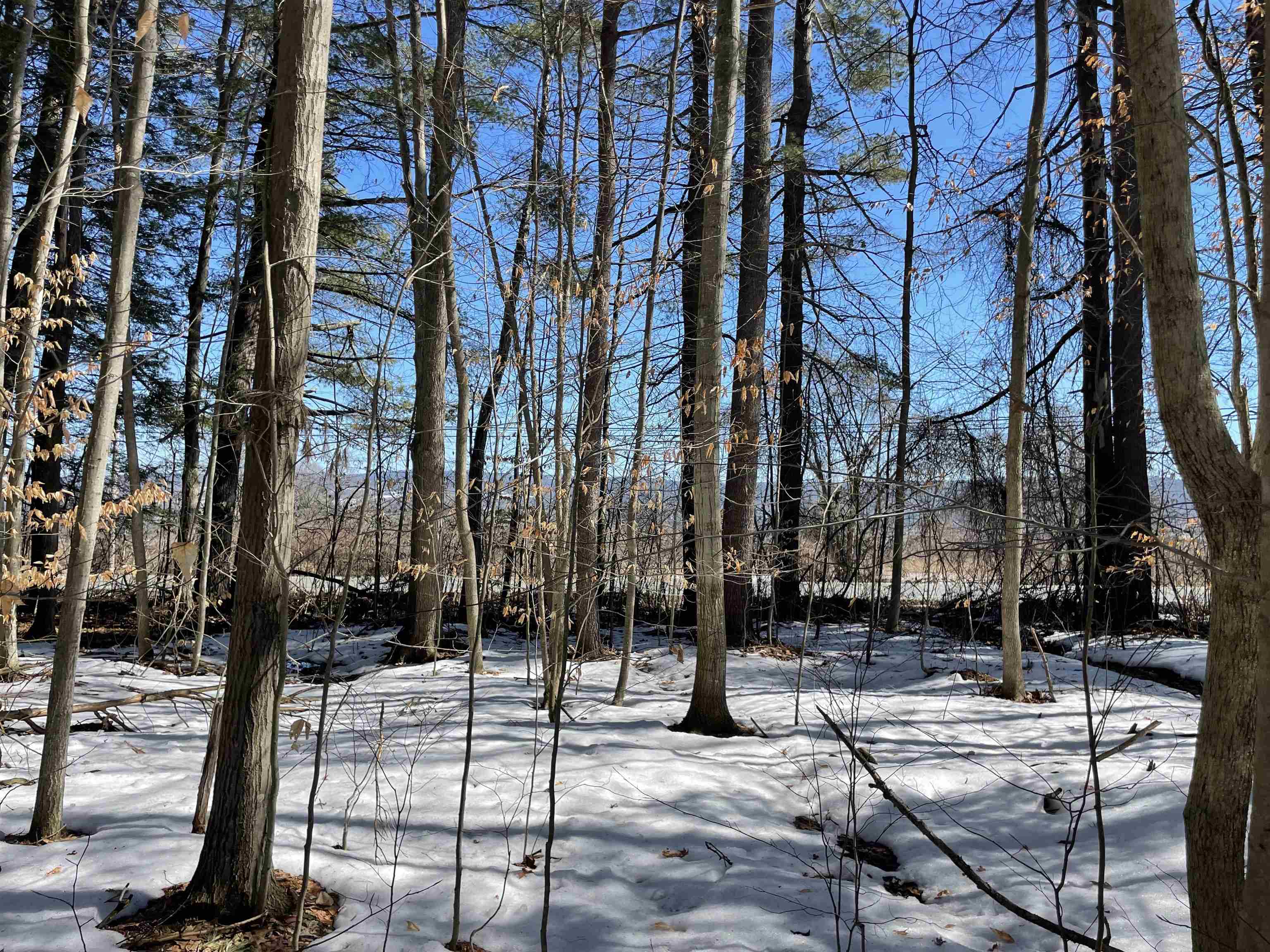 123 Highway 5, Unit 2 Westminster, VT 05346 - Photo 2 of 13