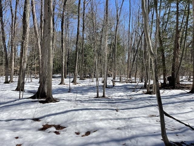 123 Highway 5, Unit 2 Westminster, VT 05346 - Photo 5 of 13