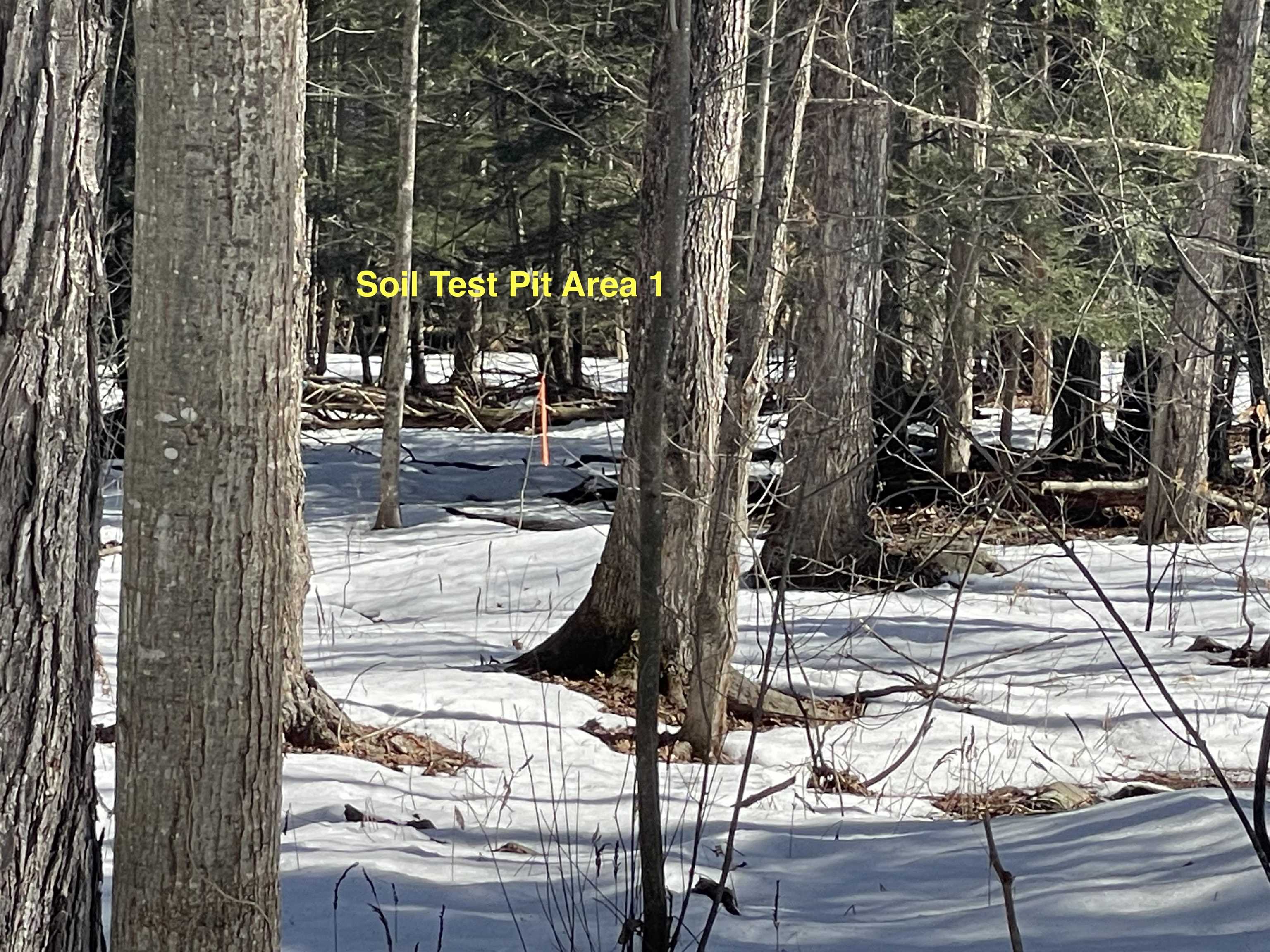 123 Highway 5, Unit 2 Westminster, VT 05346 - Photo 6 of 13