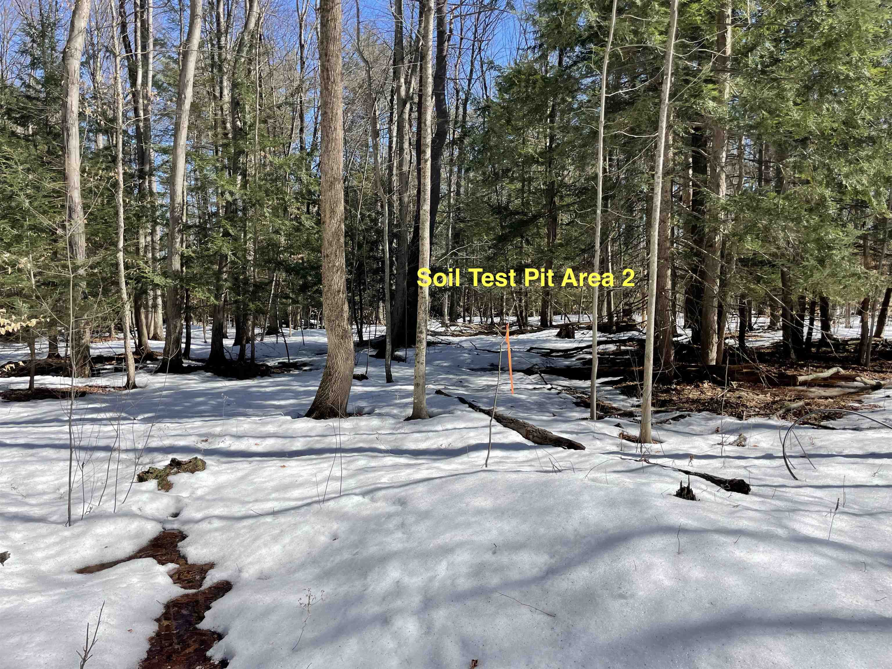 123 Highway 5, Unit 2 Westminster, VT 05346 - Photo 7 of 13