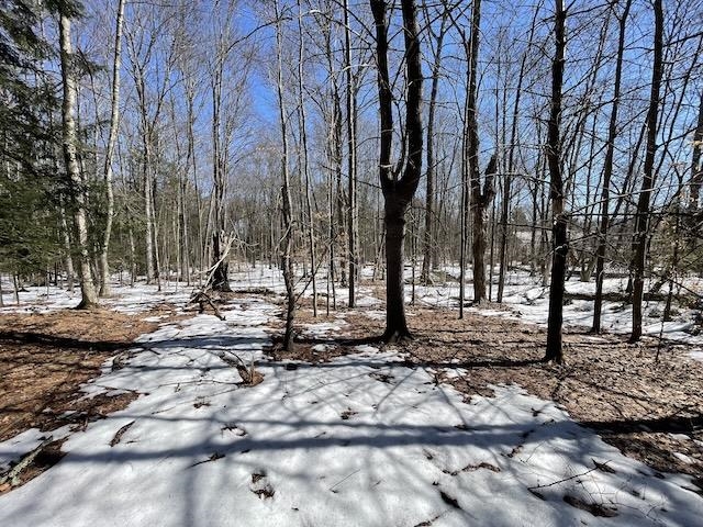 123 Highway 5, Unit 2 Westminster, VT 05346 - Photo 8 of 13