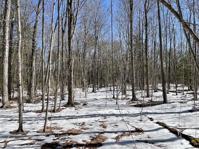 123 Highway 5, Unit 2 Westminster, VT 05346 - Photo 9 of 13