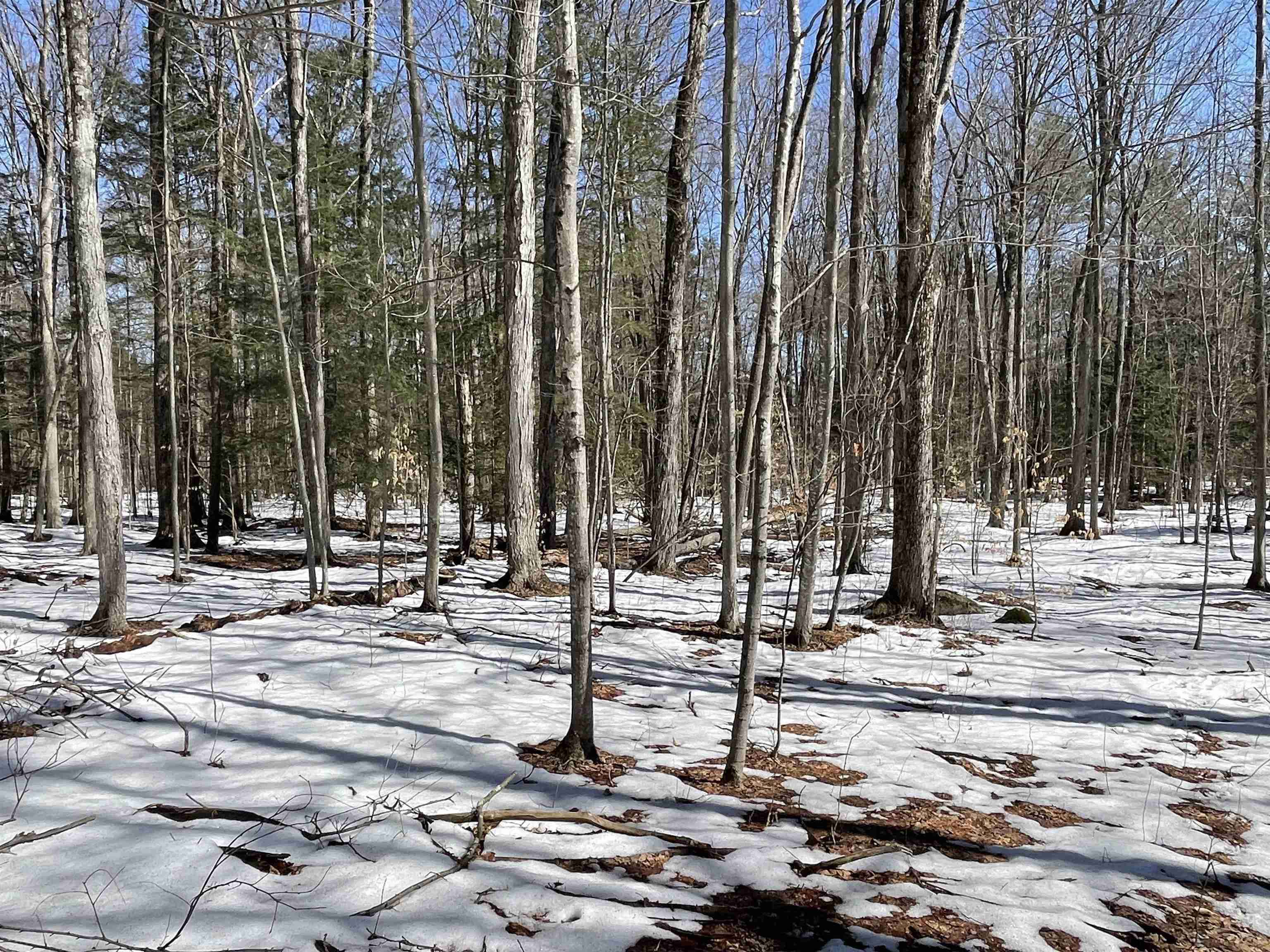 123 Highway 5, Unit 2 Westminster, VT 05346 - Photo 10 of 13