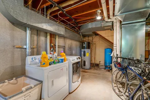 a view of a yard with plants and trees