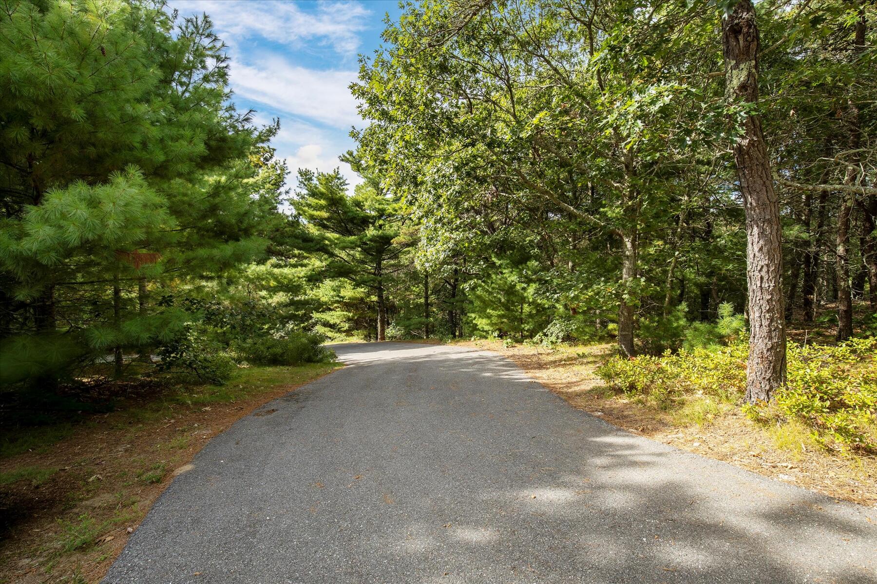 19 Avery Way Truro, MA 02666 - Photo 46 of 50 a view of a street with a trees