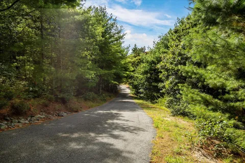 a black and white photo of a picture