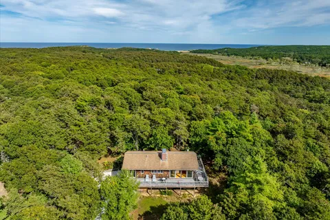 a view of a field with an trees
