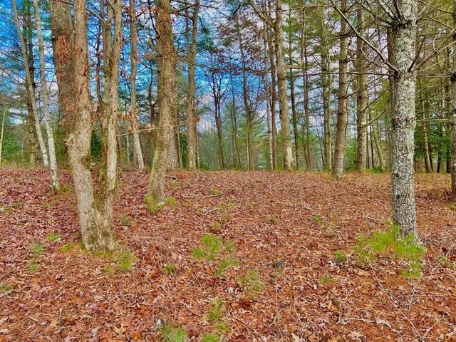 $49,000 | Lot 5 Hawks View, Morganton, GA 30560