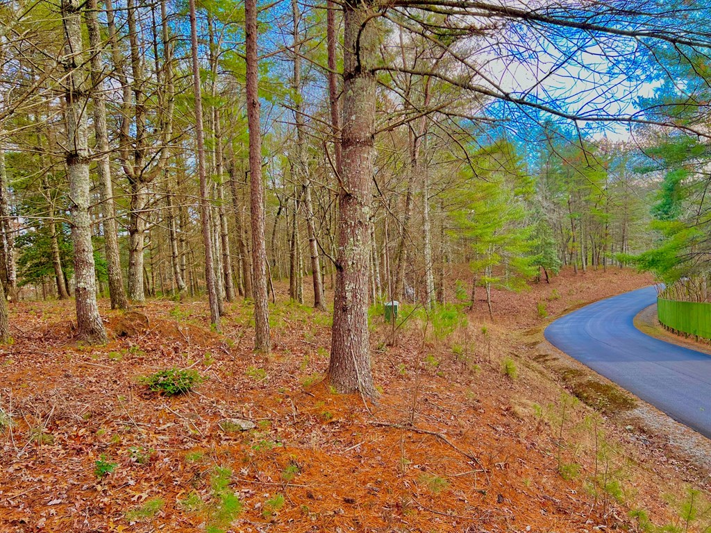 Lot 5 Hawks View Morganton, GA 30560 - Photo 11 of 20