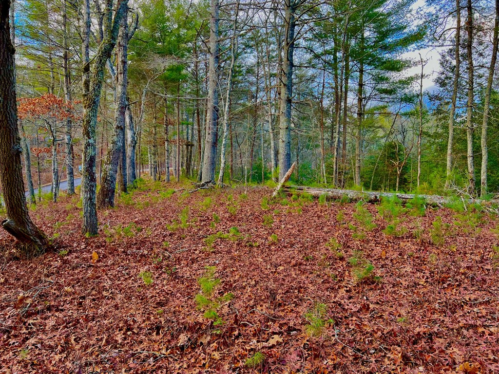 Lot 5 Hawks View Morganton, GA 30560 - Photo 12 of 20
