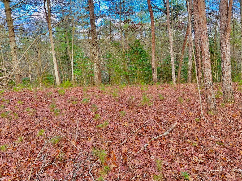 Lot 5 Hawks View Morganton, GA 30560 - Photo 13 of 20
