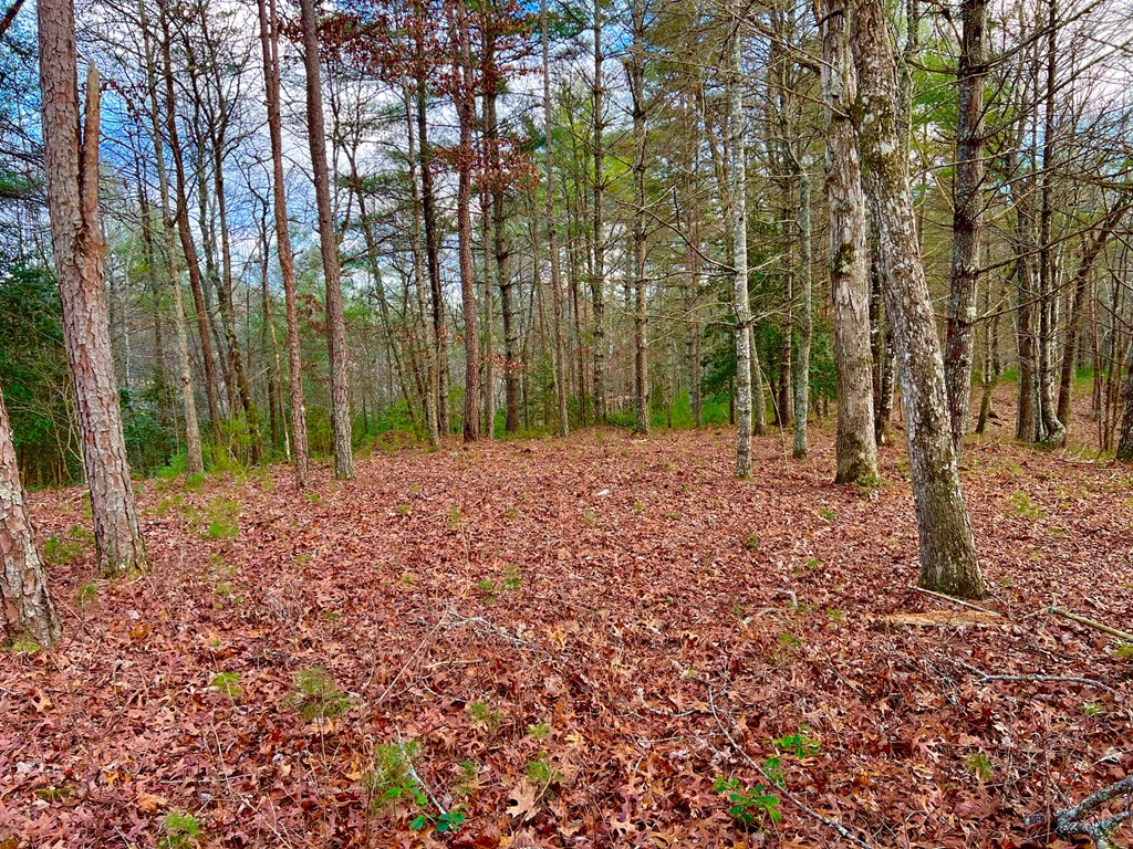 Lot 5 Hawks View Morganton, GA 30560 - Photo 14 of 20