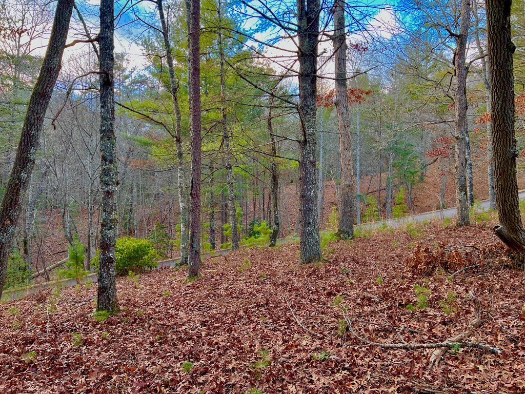 Lot 5 Hawks View Morganton, GA 30560 - Photo 15 of 20