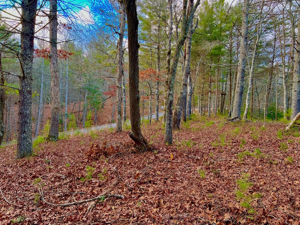 Lot 5 Hawks View Morganton, GA 30560 - Photo 16 of 20