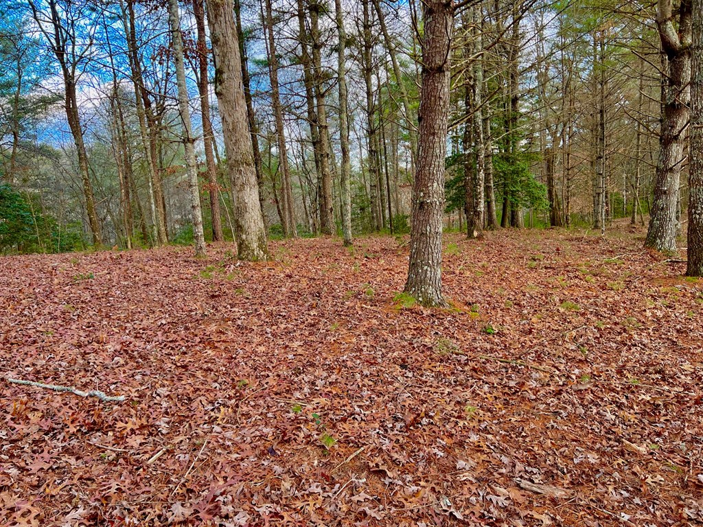 Lot 5 Hawks View Morganton, GA 30560 - Photo 17 of 20