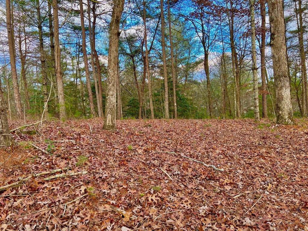Lot 5 Hawks View Morganton, GA 30560 - Photo 18 of 20