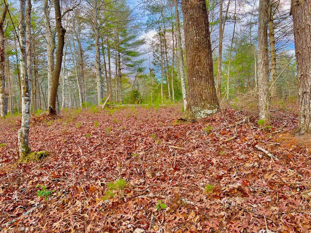 Lot 5 Hawks View Morganton, GA 30560 - Photo 19 of 20