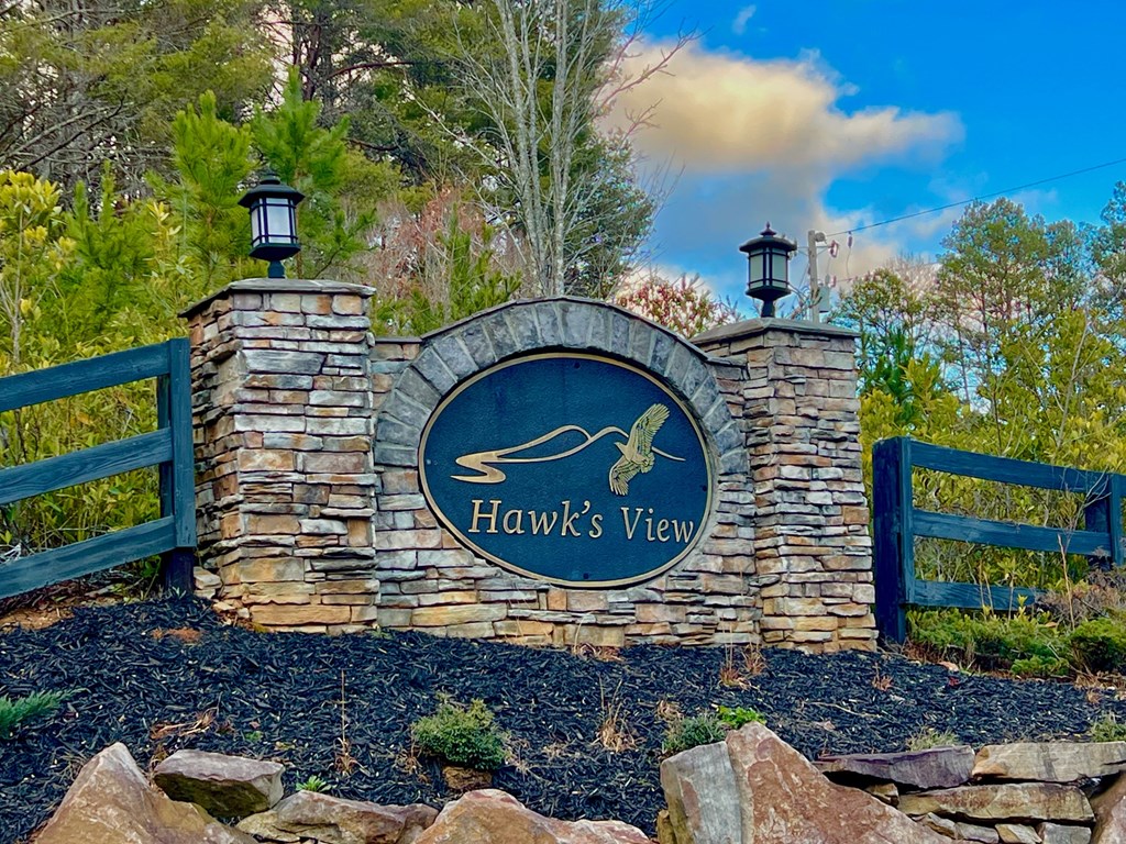 Lot 5 Hawks View Morganton, GA 30560 - Photo 2 of 20