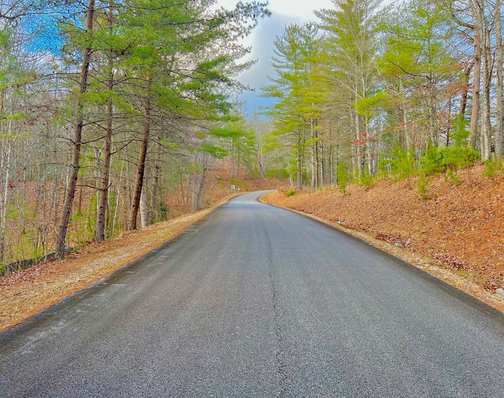 Lot 5 Hawks View Morganton, GA 30560 - Photo 3 of 20