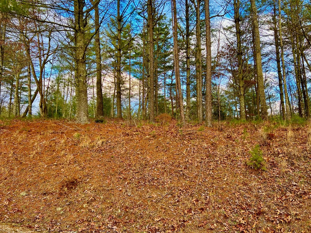 Lot 5 Hawks View Morganton, GA 30560 - Photo 4 of 20