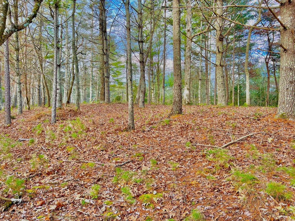 Lot 5 Hawks View Morganton, GA 30560 - Photo 5 of 20