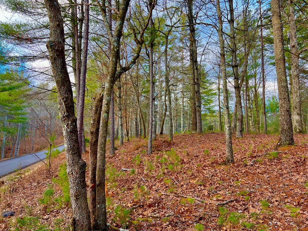 Lot 5 Hawks View Morganton, GA 30560 - Photo 6 of 20