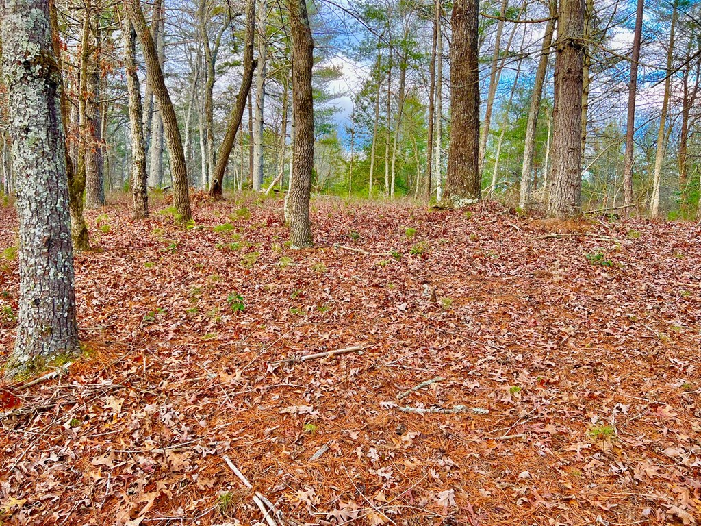 Lot 5 Hawks View Morganton, GA 30560 - Photo 7 of 20