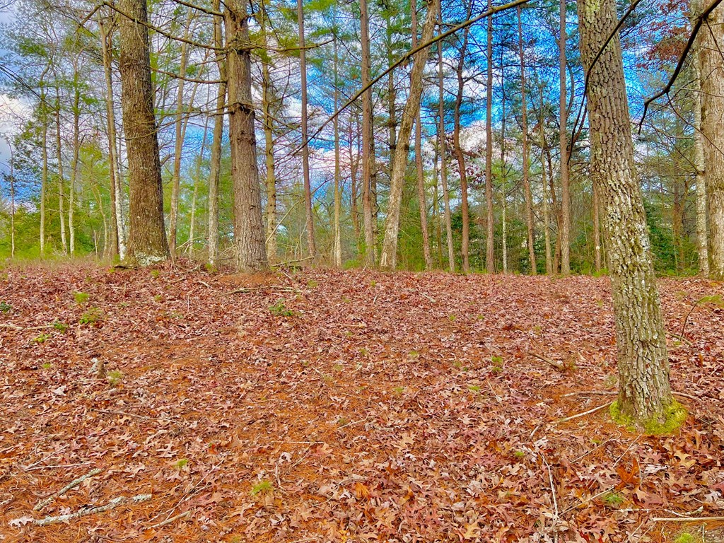 Lot 5 Hawks View Morganton, GA 30560 - Photo 8 of 20