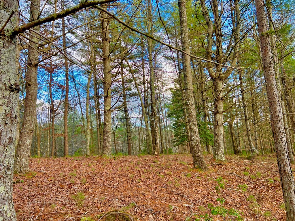 Lot 5 Hawks View Morganton, GA 30560 - Photo 9 of 20