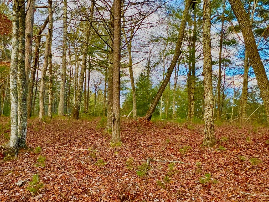 Lot 5 Hawks View Morganton, GA 30560 - Photo 10 of 20