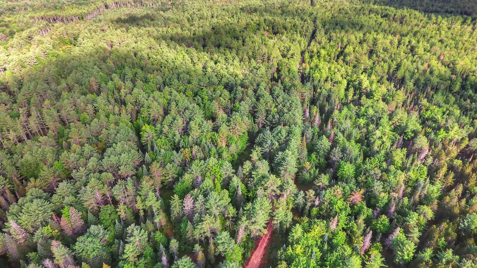 167 Harrison Road Oxford, ME 04270 - Photo 40 of 40 13_DJI_0012_copy_mls