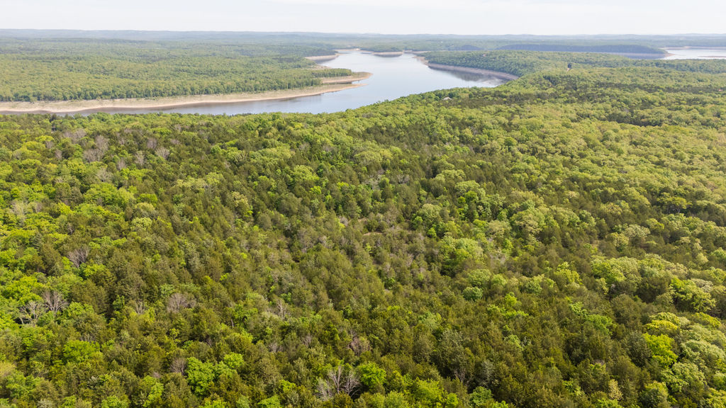 1 Horseshoe Bnd Road Lead Hill, AR 72644 - Photo 18 of 46 Expansive aerial landscape featuring a large body of water, extensive forested areas, and a visible shoreline