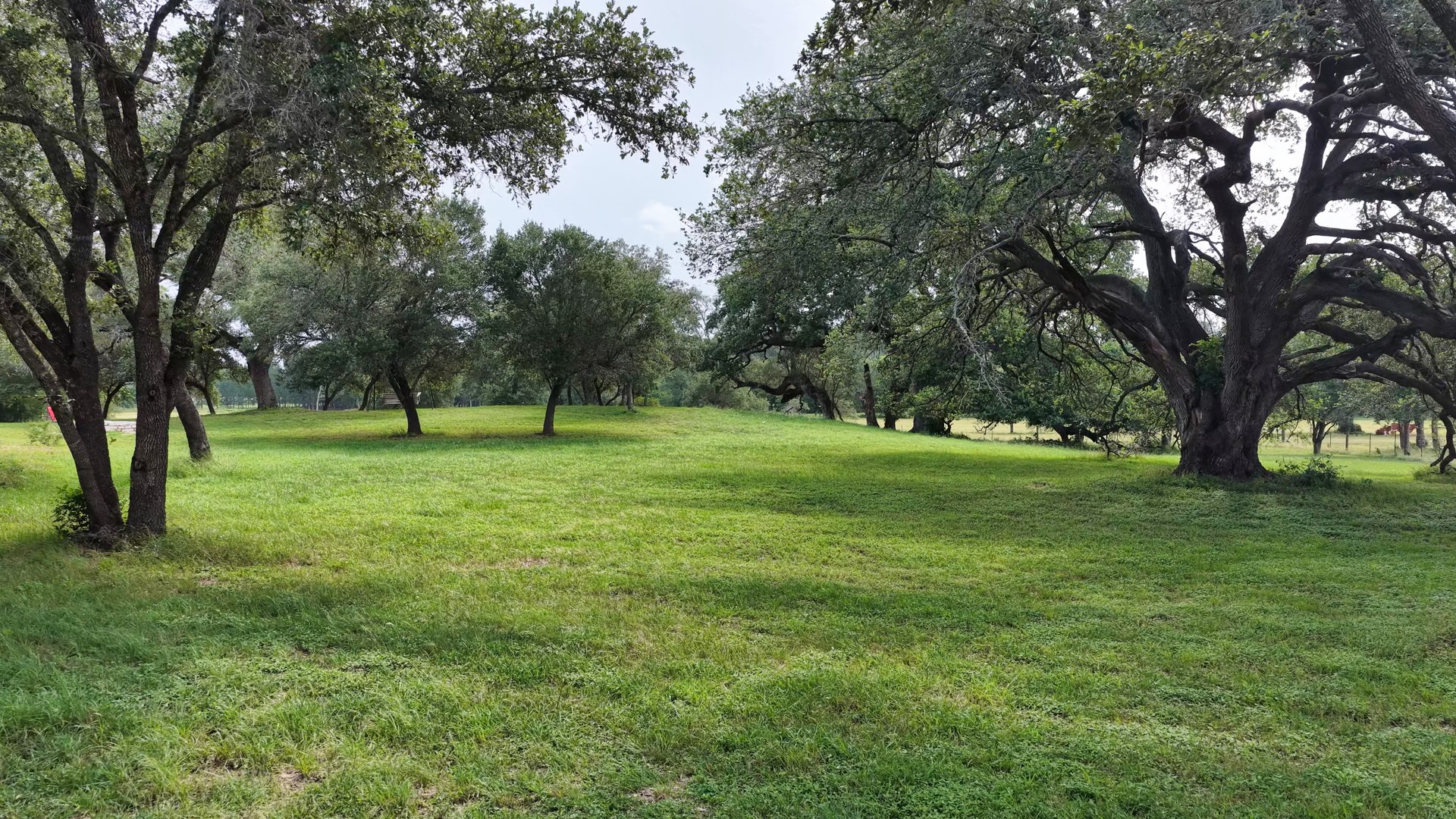 2656 River Bend Road Smithville, TX 78957 - Photo 21 of 40