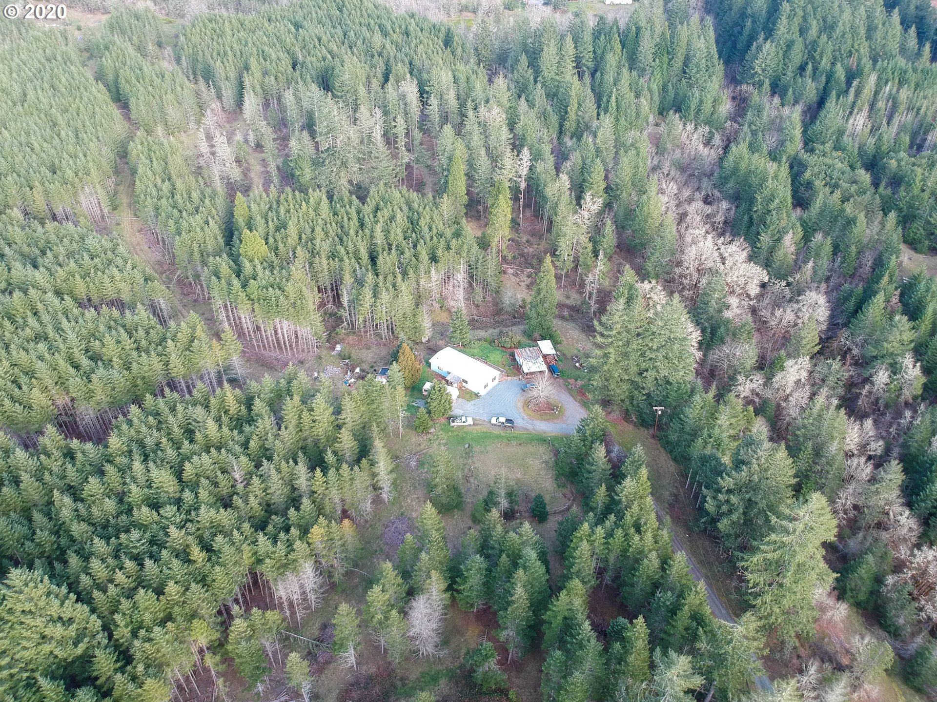 833 Kirkendahl Road Camas Valley, OR 97416 - Photo 14 of 24