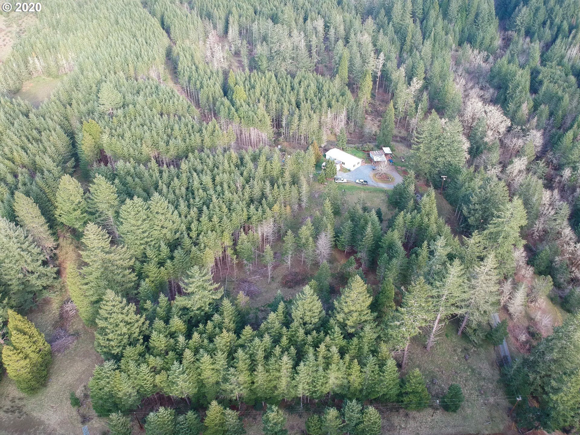 833 Kirkendahl Road Camas Valley, OR 97416 - Photo 15 of 24