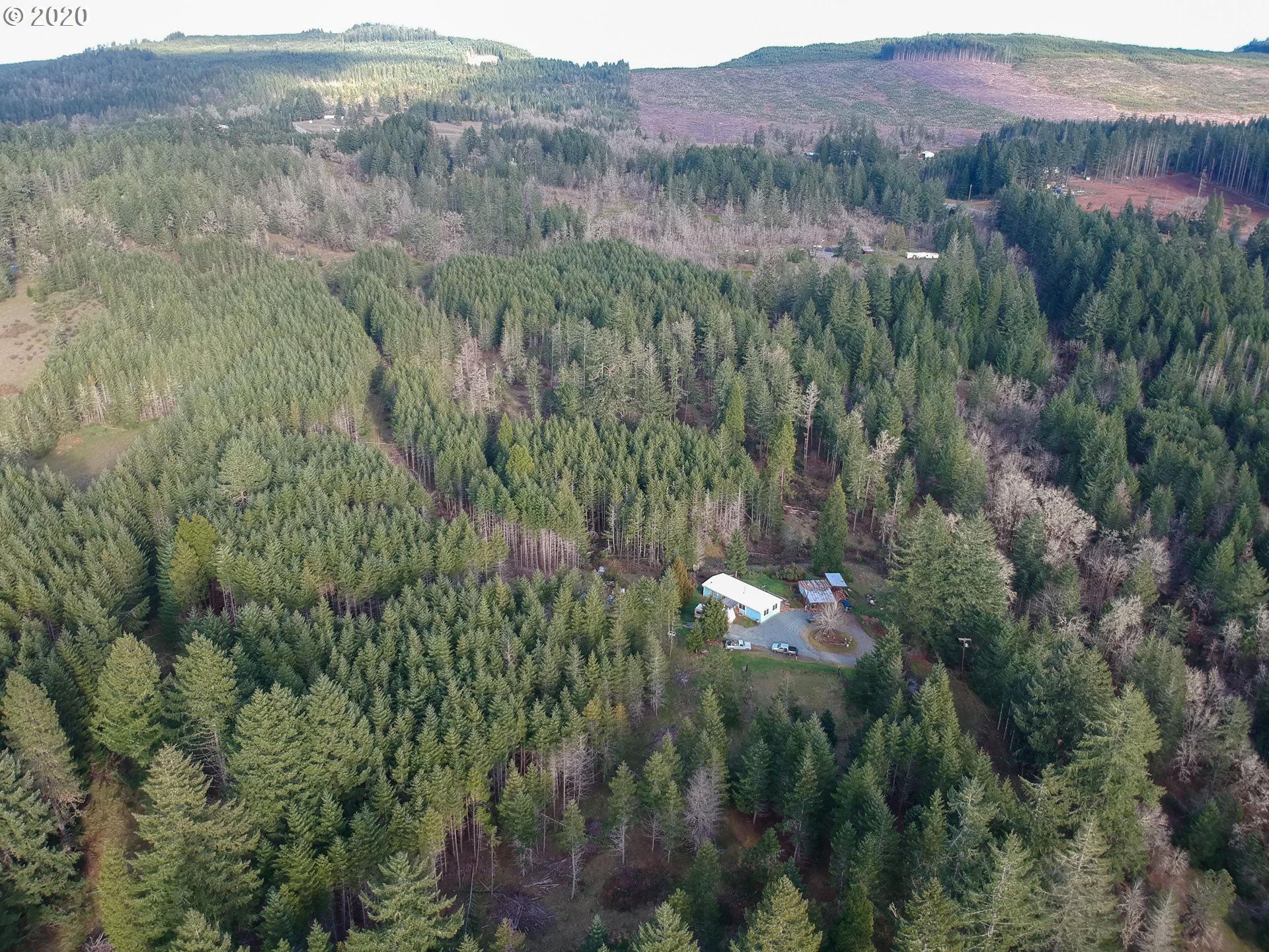 833 Kirkendahl Road Camas Valley, OR 97416 - Photo 16 of 24