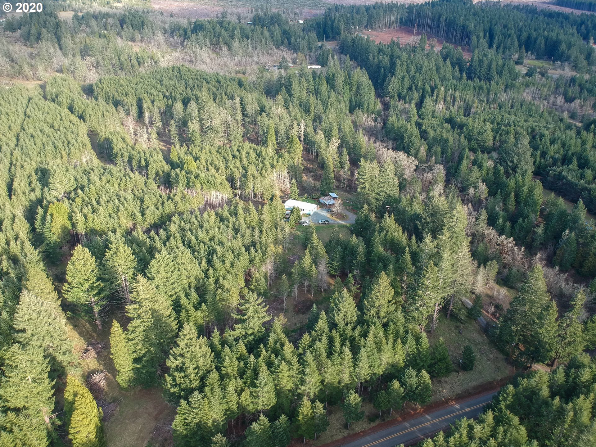 833 Kirkendahl Road Camas Valley, OR 97416 - Photo 17 of 24