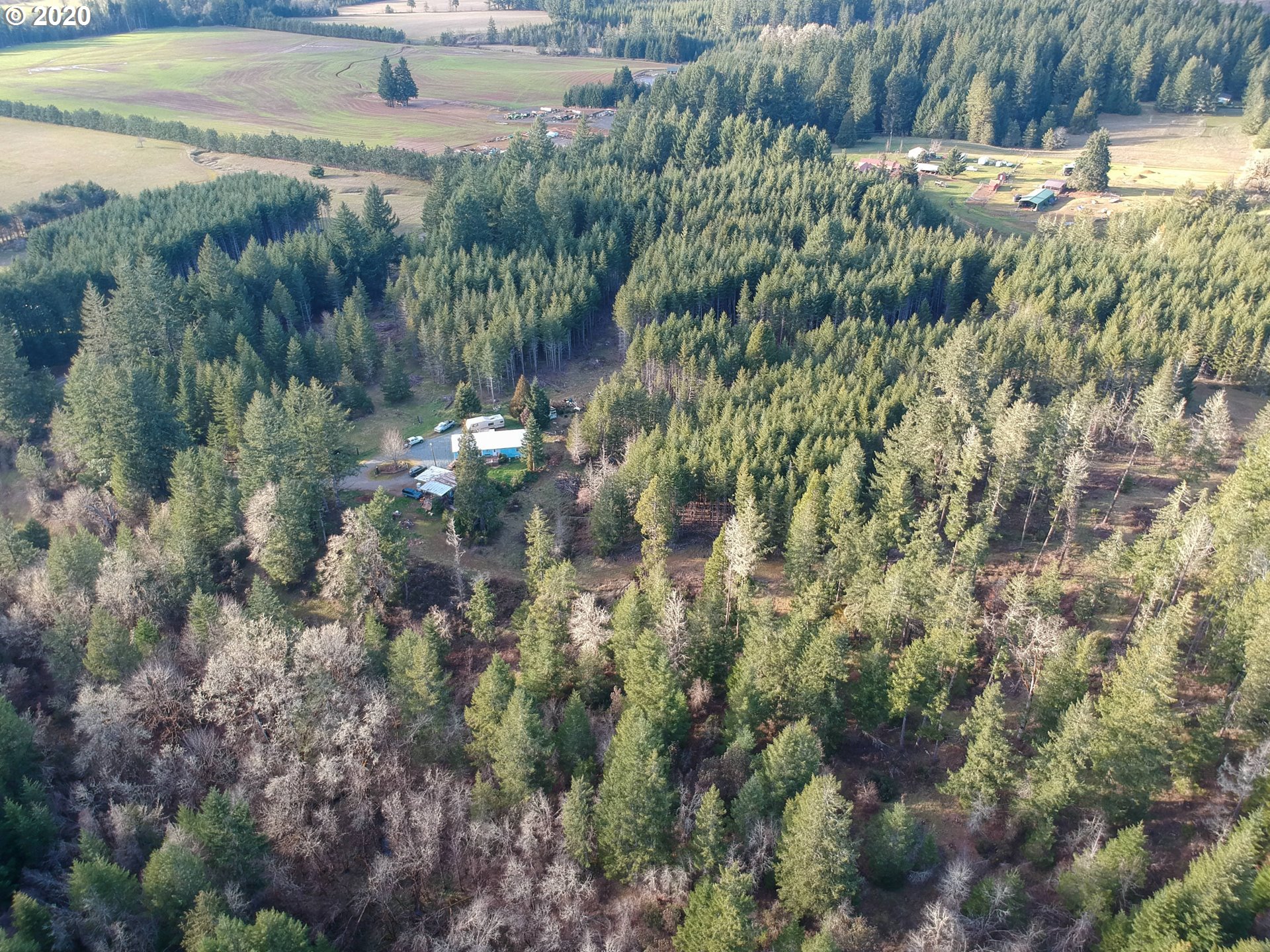 833 Kirkendahl Road Camas Valley, OR 97416 - Photo 20 of 24