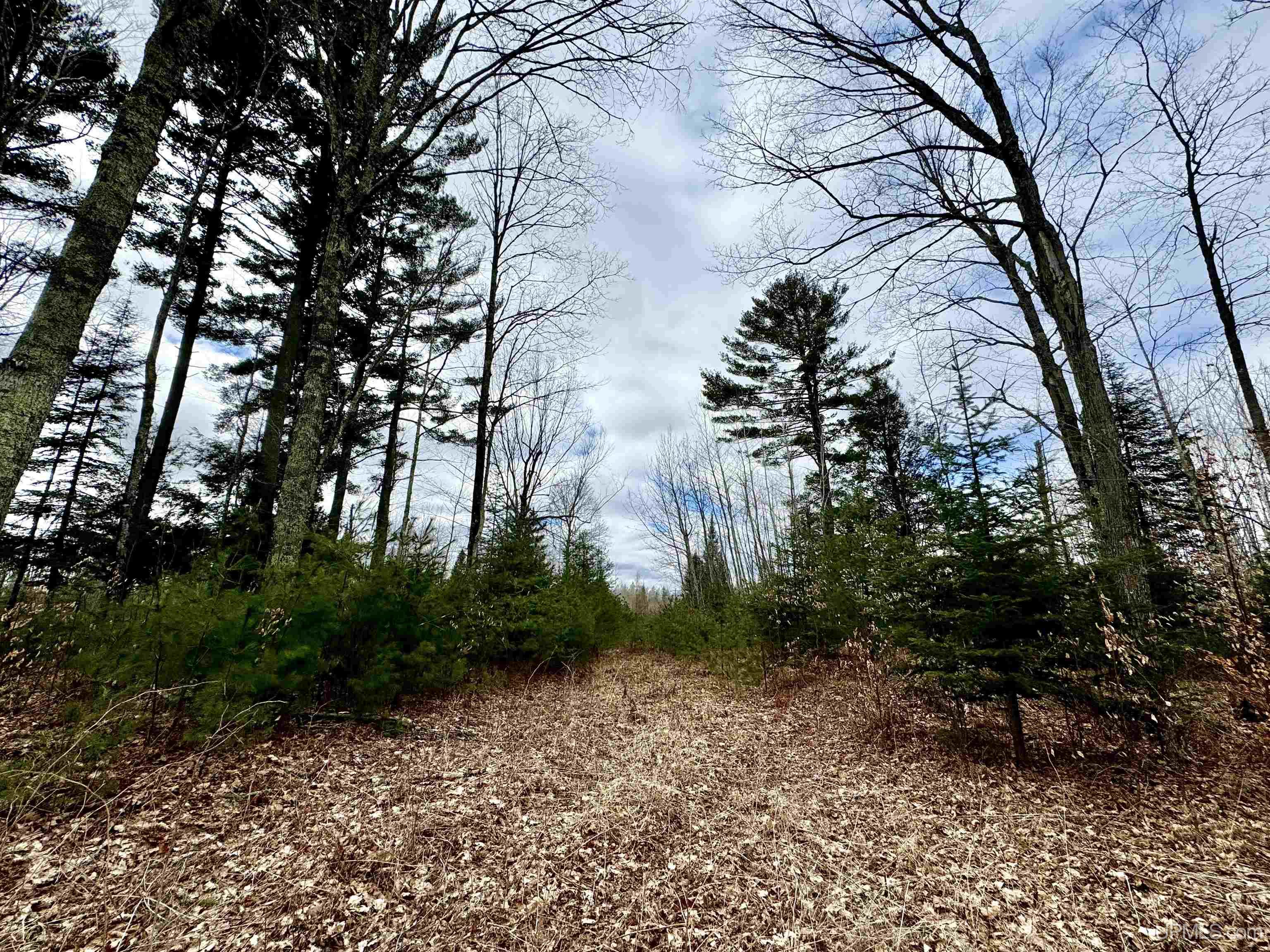 M69 Rd Perronville Mi 49873 Road Perronville, MI 49873 - Photo 22 of 41