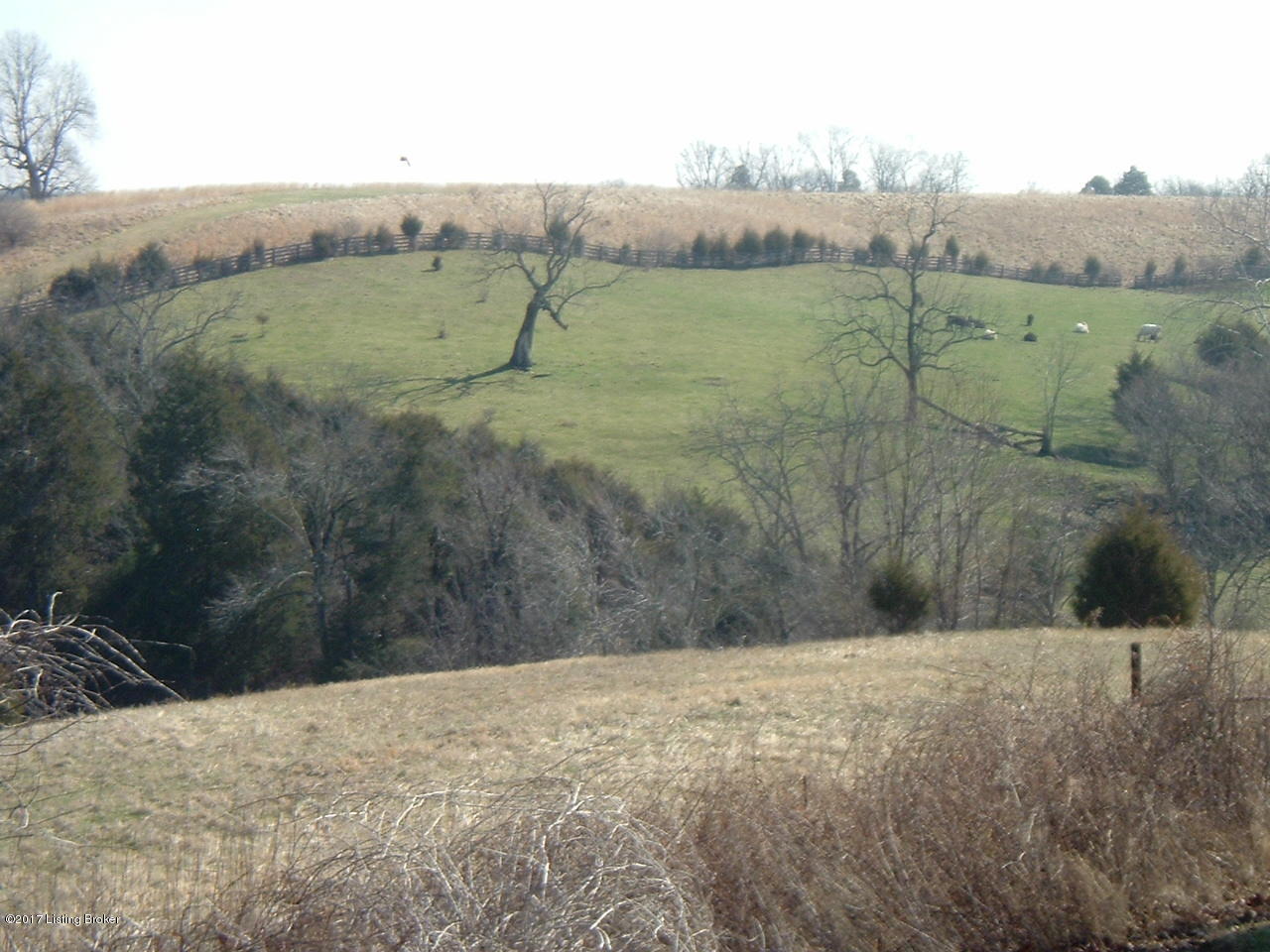 DSCF3867