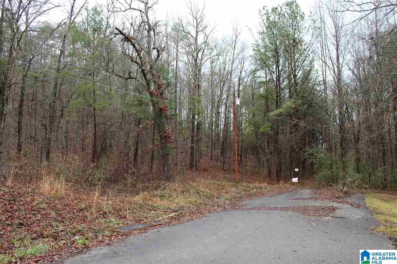 0 Fitzgerald Road Oxford, AL 36203 - Photo 41 of 44