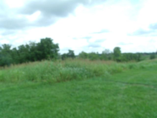812 Peytona Beach Road Waddy, KY 40076 - Photo 45 of 166 Peytona Beach Waddy ky July 2021 009 - C