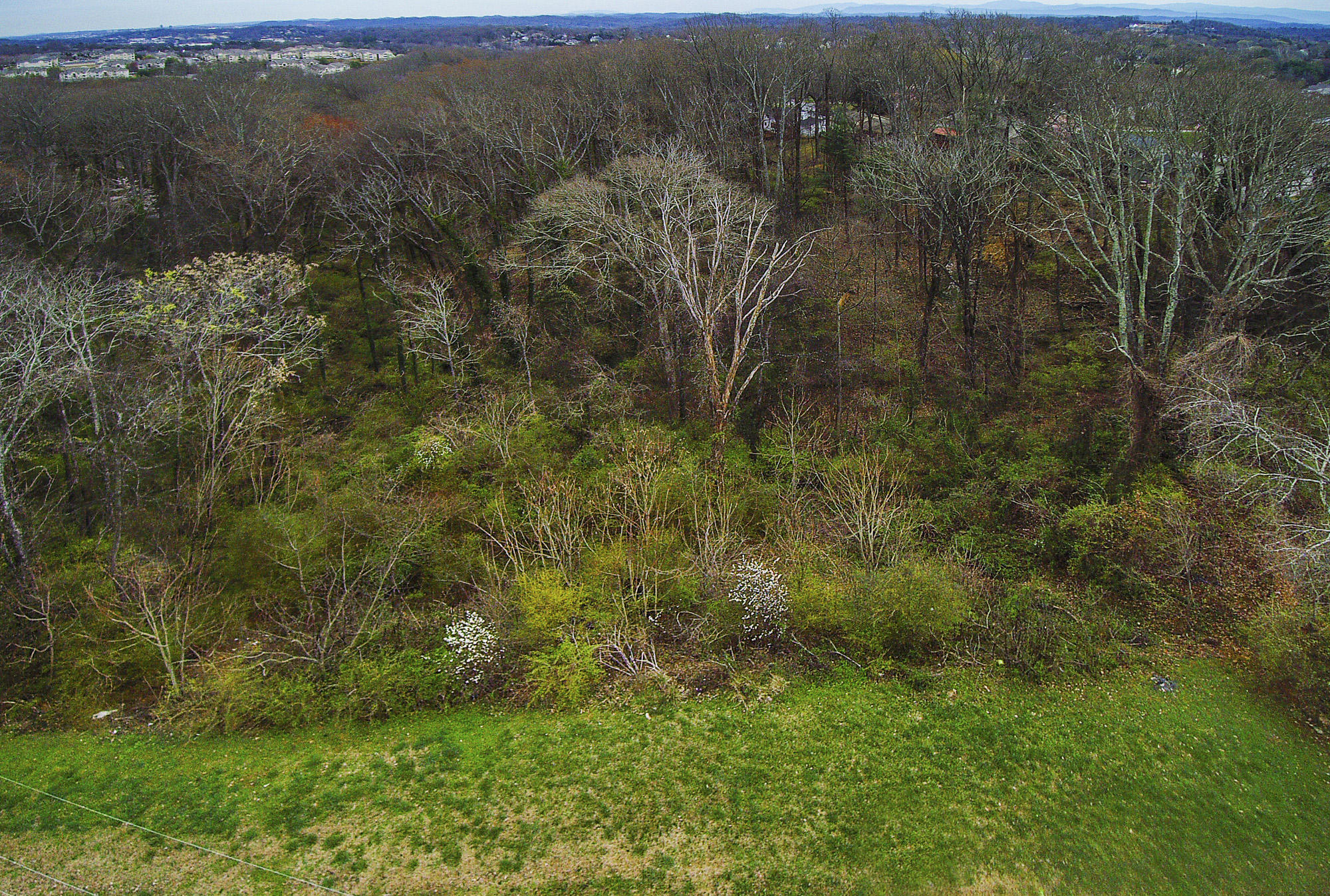 428 Kendall Road Knoxville, TN 37919 - Photo 2 of 9 YUN00050