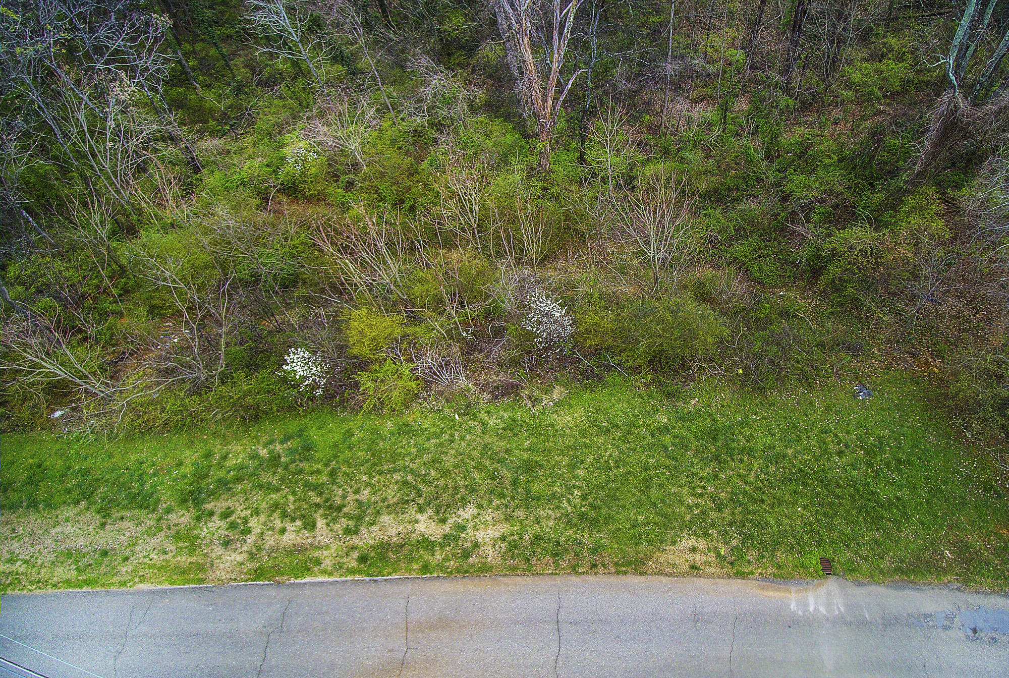 428 Kendall Road Knoxville, TN 37919 - Photo 4 of 9 YUN00051