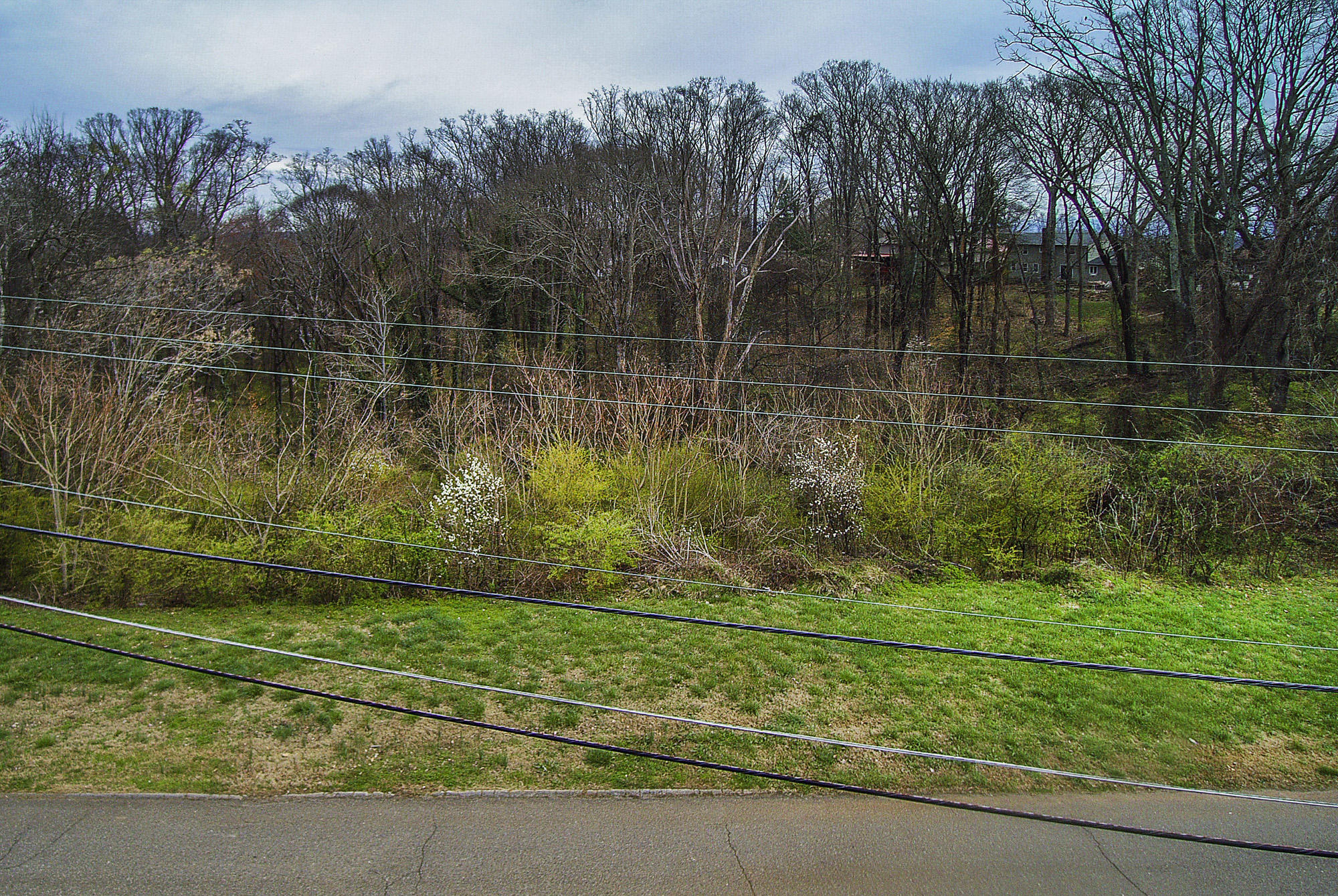 428 Kendall Road Knoxville, TN 37919 - Photo 7 of 9 YUN00057