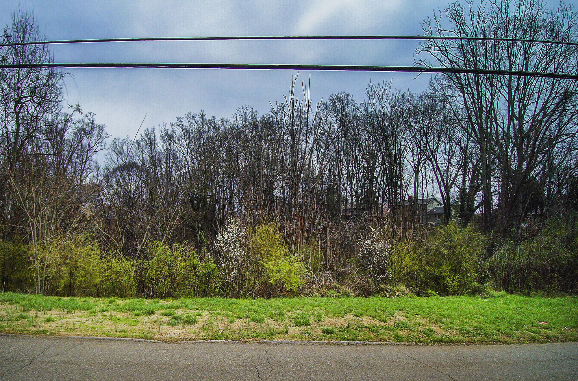 428 Kendall Road Knoxville, TN 37919 - Photo 9 of 9 YUN00059