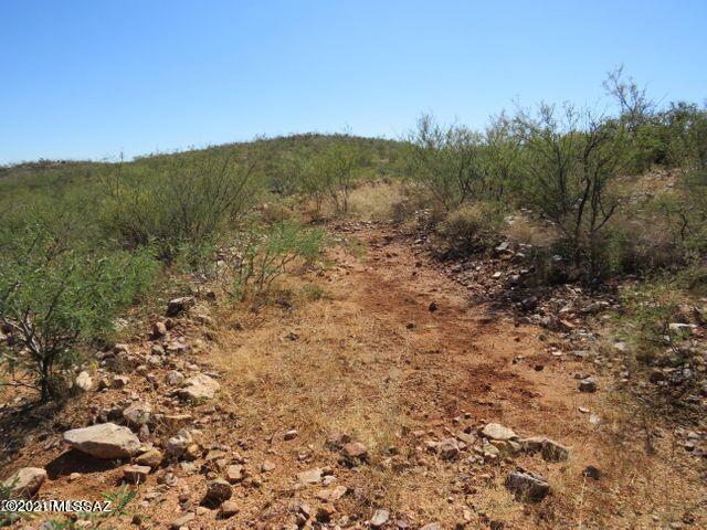 36 Acres Douglas Az 85607 Douglas, AZ 85607 - Photo 21 of 29